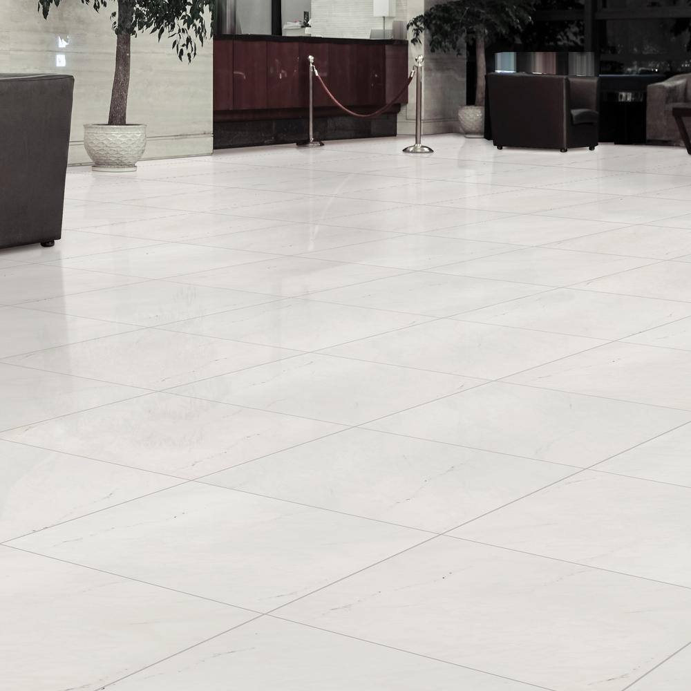 MSI Aria Ice 24 in. x 24 in. Polished Porcelain Floor and Wall Tile (16 sq. ft.  case) NARIICE2424P