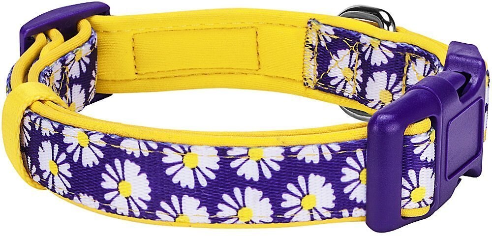 Blueberry Pet Floral Prints Polyester Dog Collar