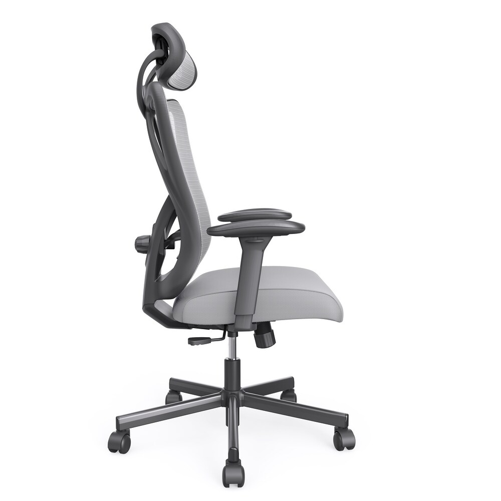 Mcintosh Contemporary Ergonomic Height Adjustable Desk Chair by Furniture of America