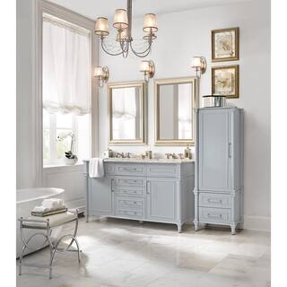 Home Decorators Collection Aberdeen 20-34 in. W x 14-12 in. D x 60 in. H Bathroom Linen Cabinet in Dove Grey 8104000270