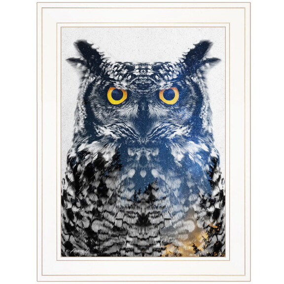 Night Owl by Andreas Lie  Ready to Hang Framed P...