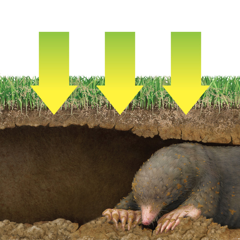 MOLEGOPHER REPLLNT 10LB