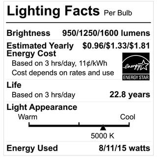 EcoSmart 90120150-Watt Equivalent PAR38 3-Way Spot Energy Star Dimmable CEC LED Light Bulb Daylight (2-Pack) FG-04305