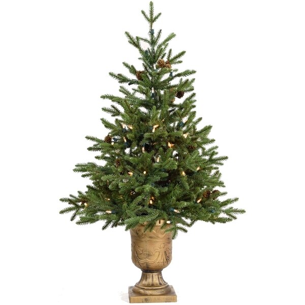 Fraser Hill Farm 3.0' Noble Fir Potted Tree