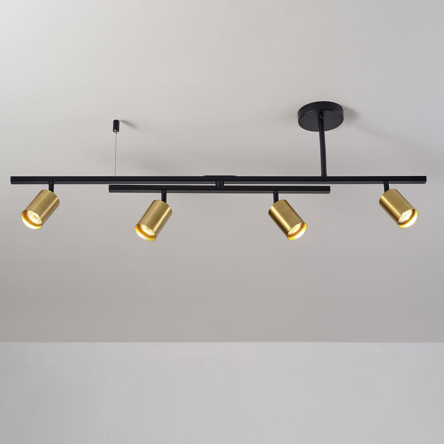 Globe Electric West Matte Black and Matte Brass 4-Light Track Lighting with Center Swivel Bar， 91000133