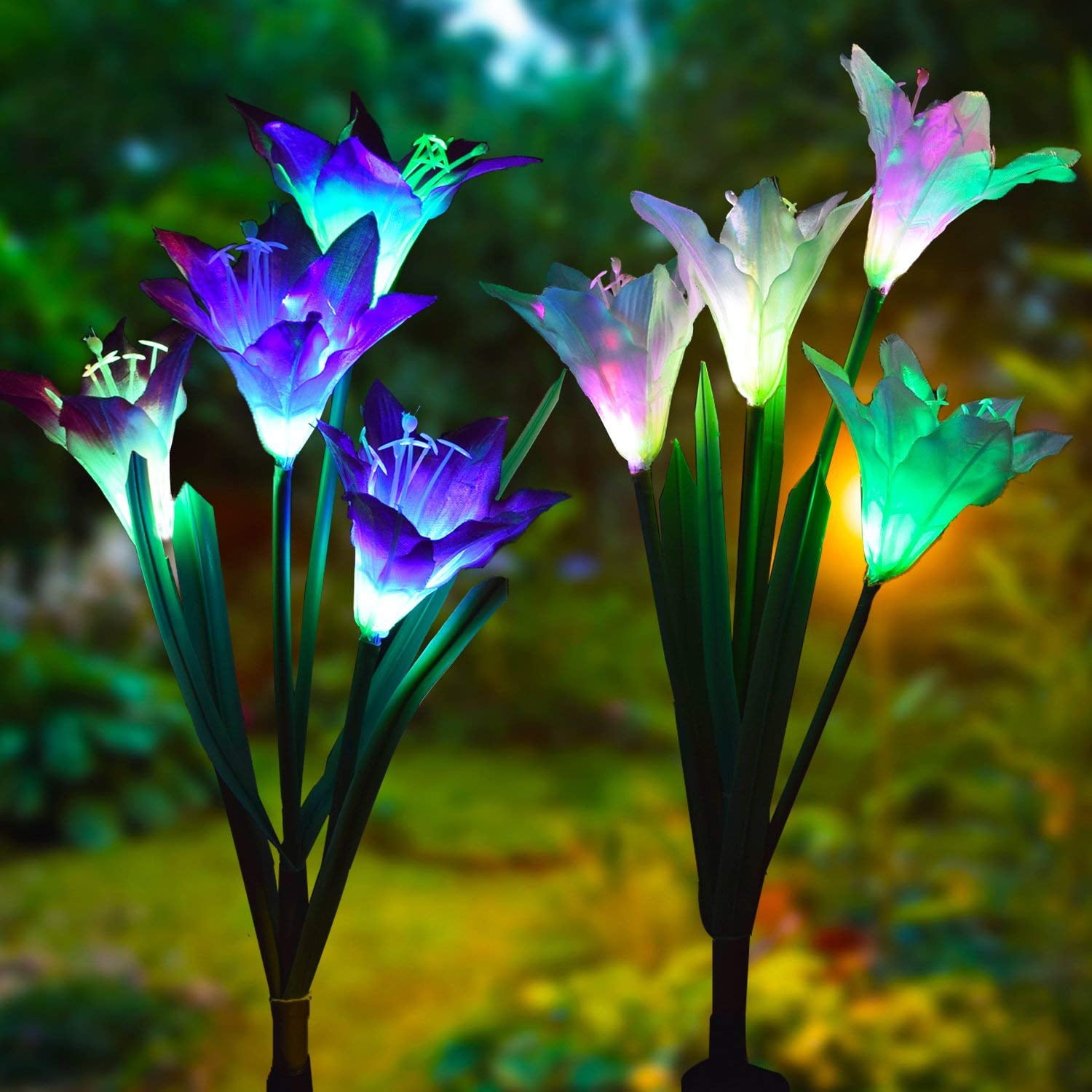 Outdoor Solar Garden Stake Lights - 2 Pack Solite Solar Powered Lights with 8 Lily Flower, Multi-color Changing LED Solar Stake Lights for Garden, Patio, Backyard (Purple and White)