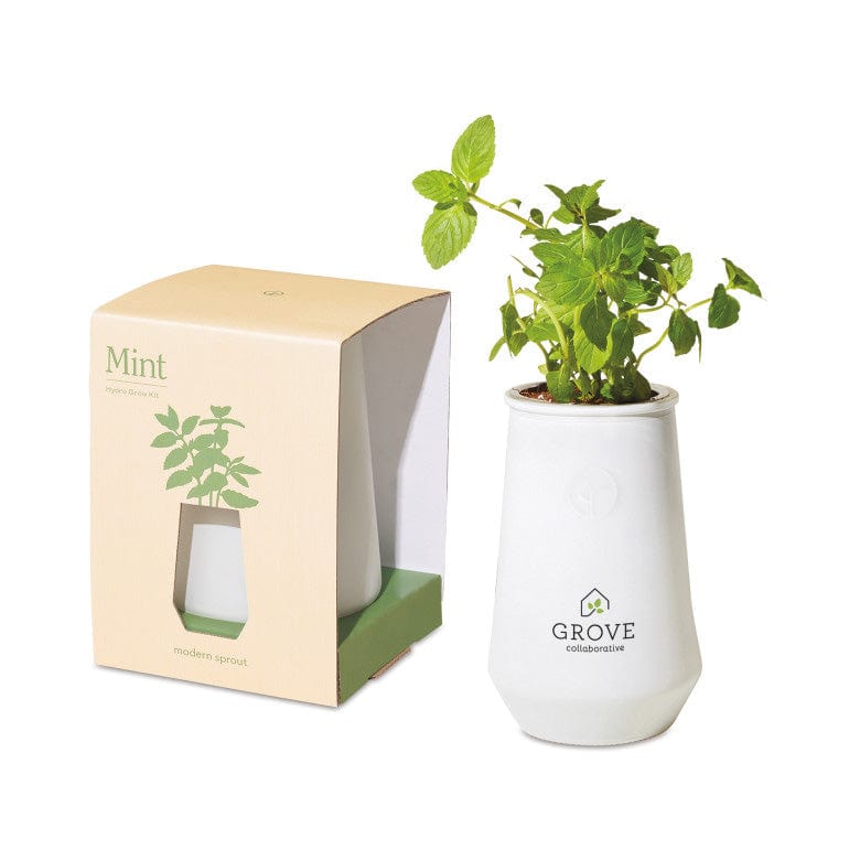 Modern Sprout Tapered Tumbler Grow Kit