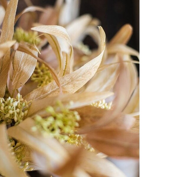 RusticReach Silk Long Eucalyptus Leaf Bunch in Natural Color