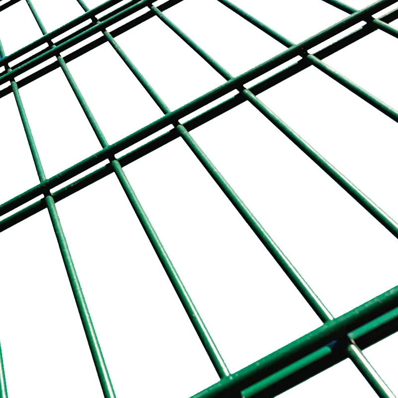 Factory supply zaun Galvanized or powder coated 868 / 656 Wire Double Rod Mat Fences