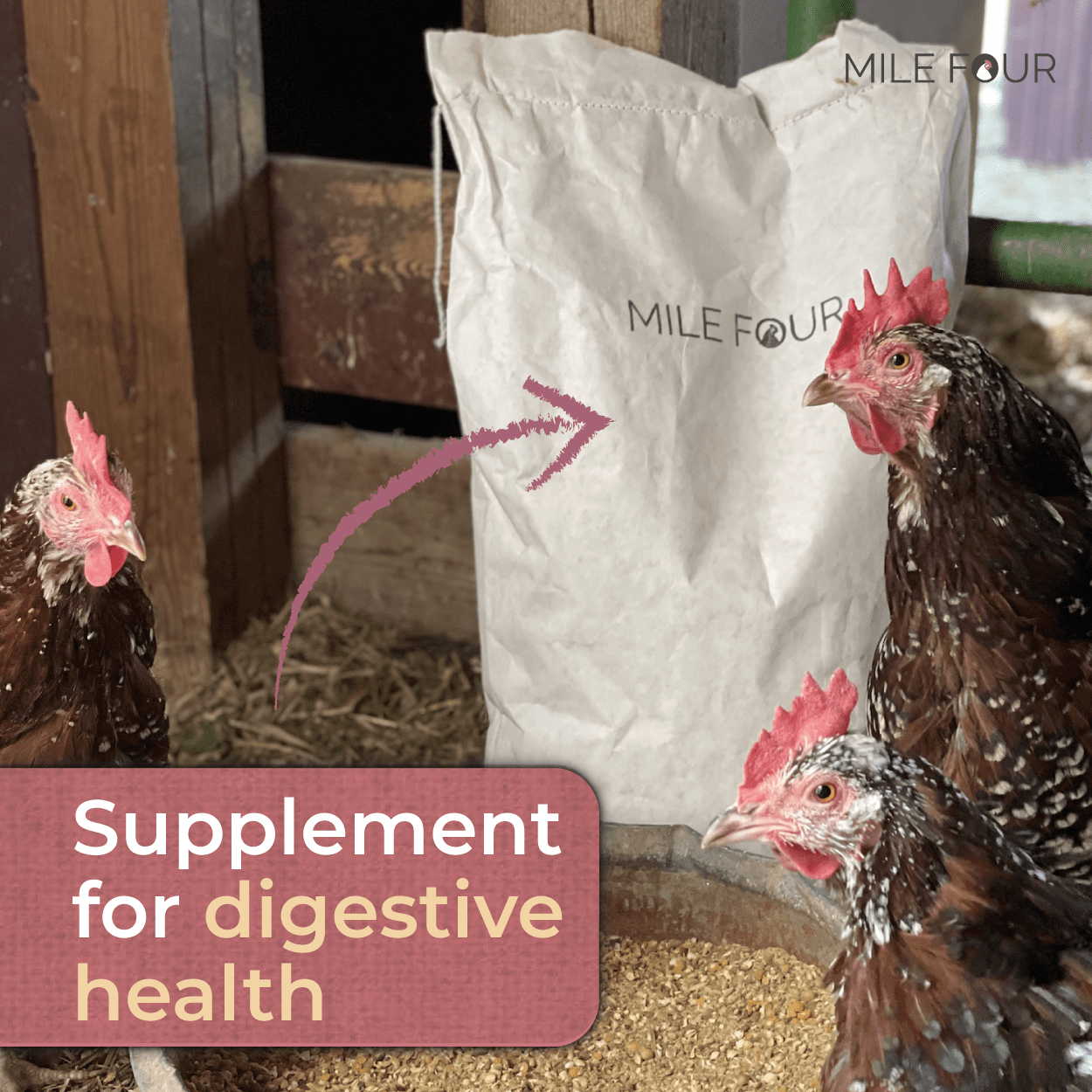 Mile Four | Grit for Healthy Chickens | 100% US Mined Quartzite， Mineral Grit | Organic， Natural Crushed Grit Quartzite， Mineral Grit | Healthier Chickens | 4 lbs.