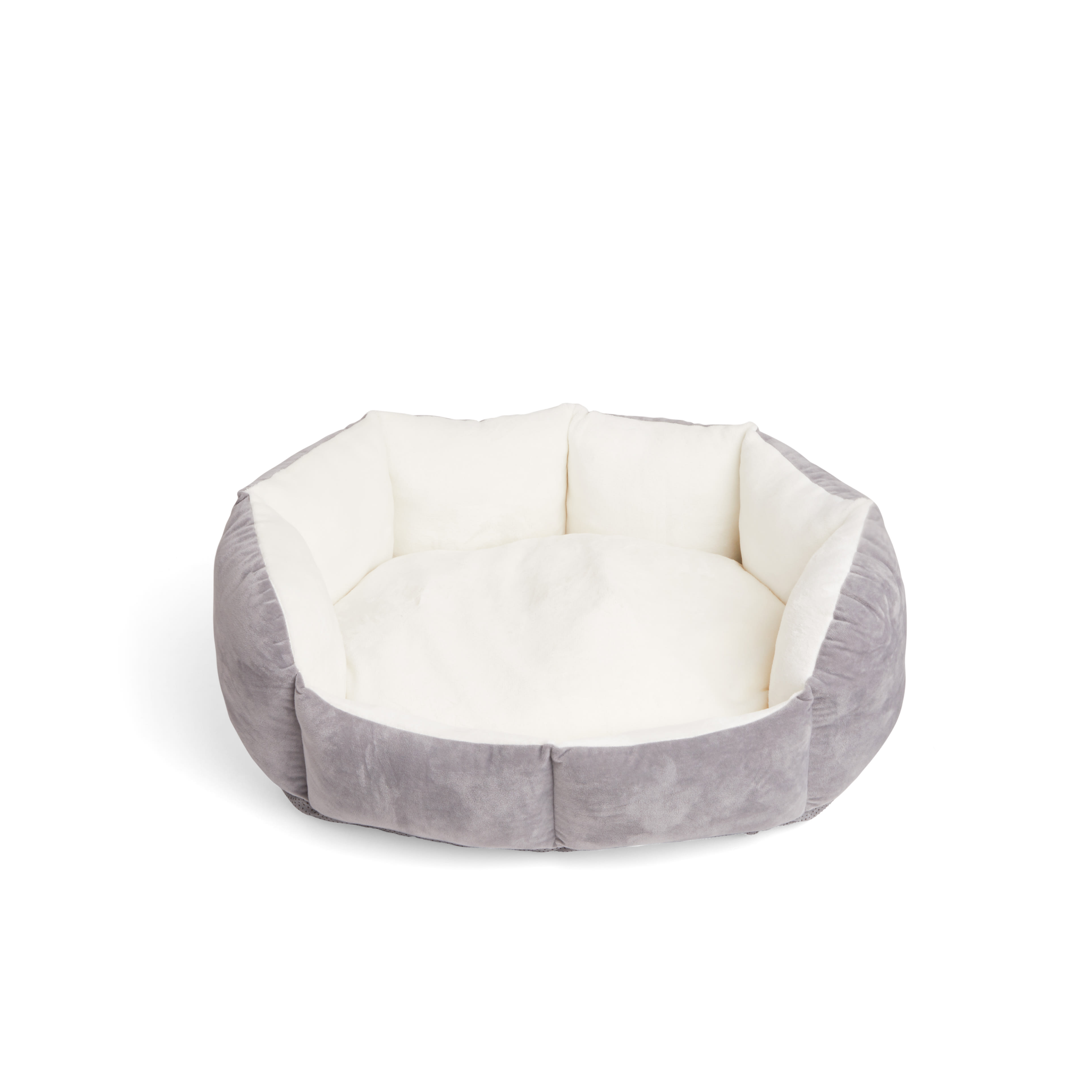 EveryYay Lavender Orthopedic Dog Bed， 20