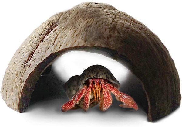 SunGrow Hermit Crab and African Dwarf Frog Habitat Accessory and Terrarium Decor Coconut Shell Hideout