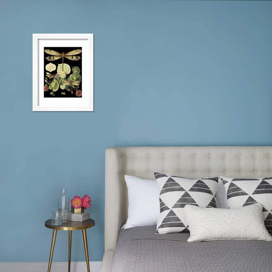 Whimsical Dragonfly on Black II Framed Print Wall Art by Vision Studio Sold by Art.Com