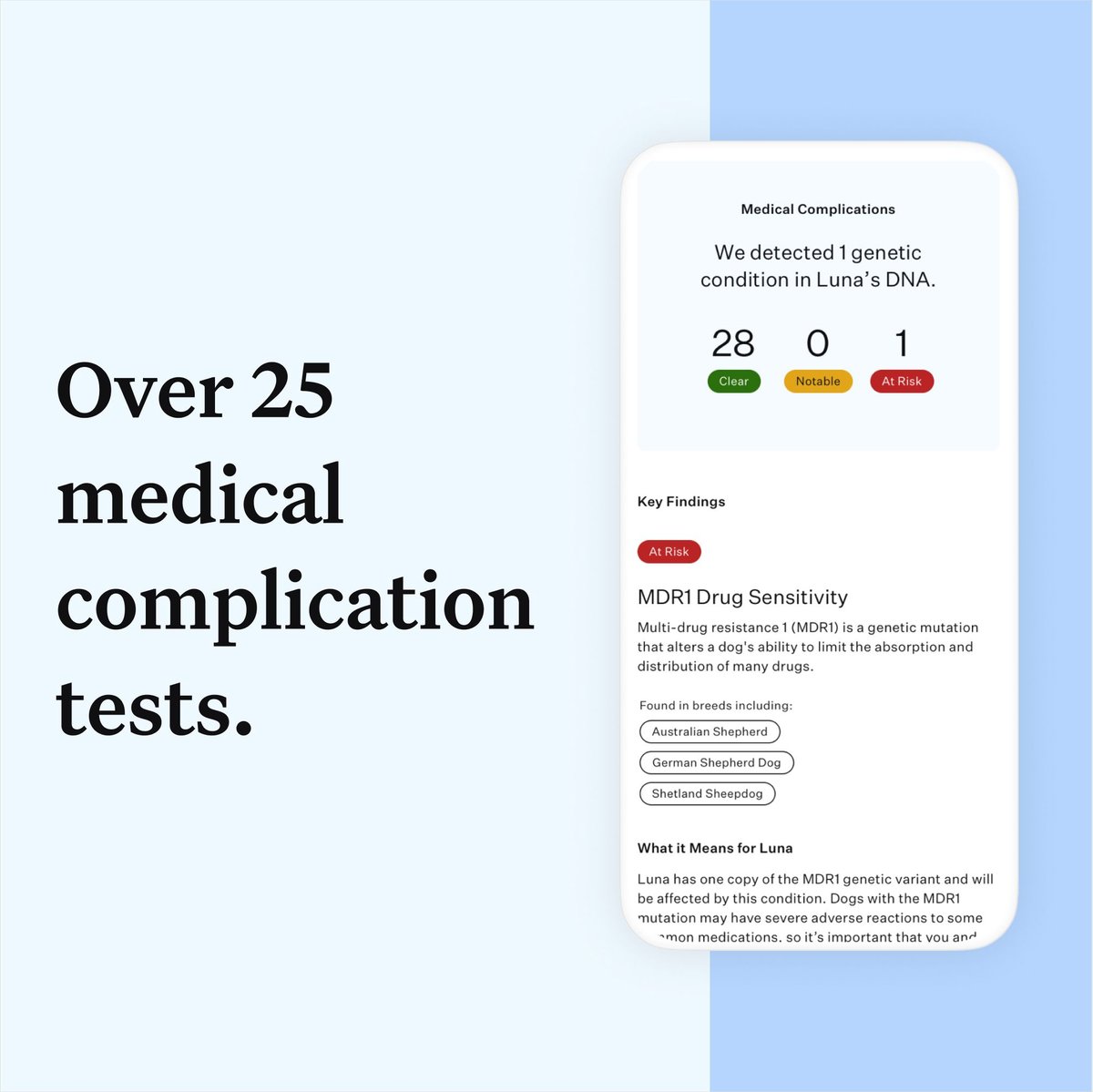 Wisdom Panel Essential Breed Identification DNA Test for Dogs