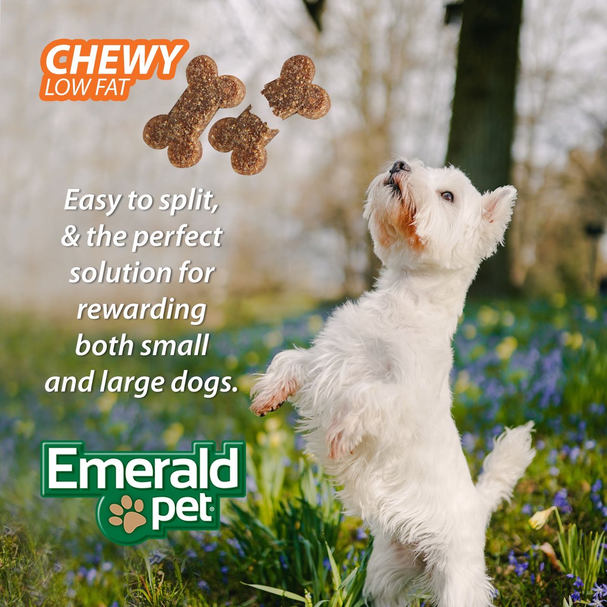 Emerald Pet Little Chewzzies Turducky Recipe Chicken-Free Dog Treats