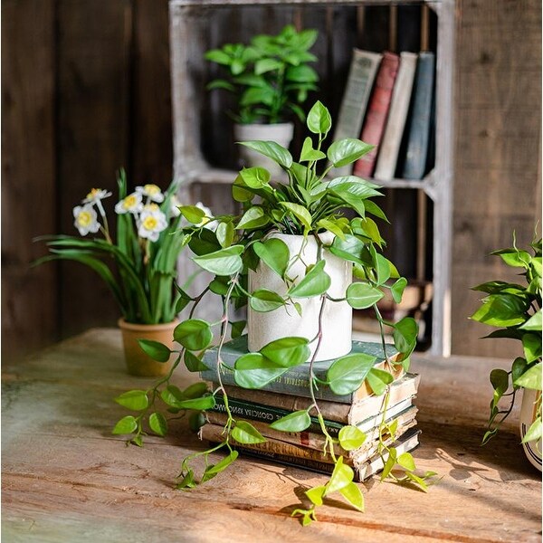 RusticReach Artificial Devil's Ivy Plant in White Pot