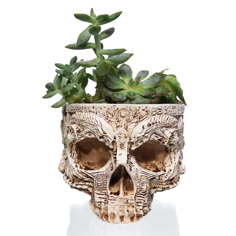 WY Hot selling garden supplies flower pots Skull head potted ornament resin skull flower pot