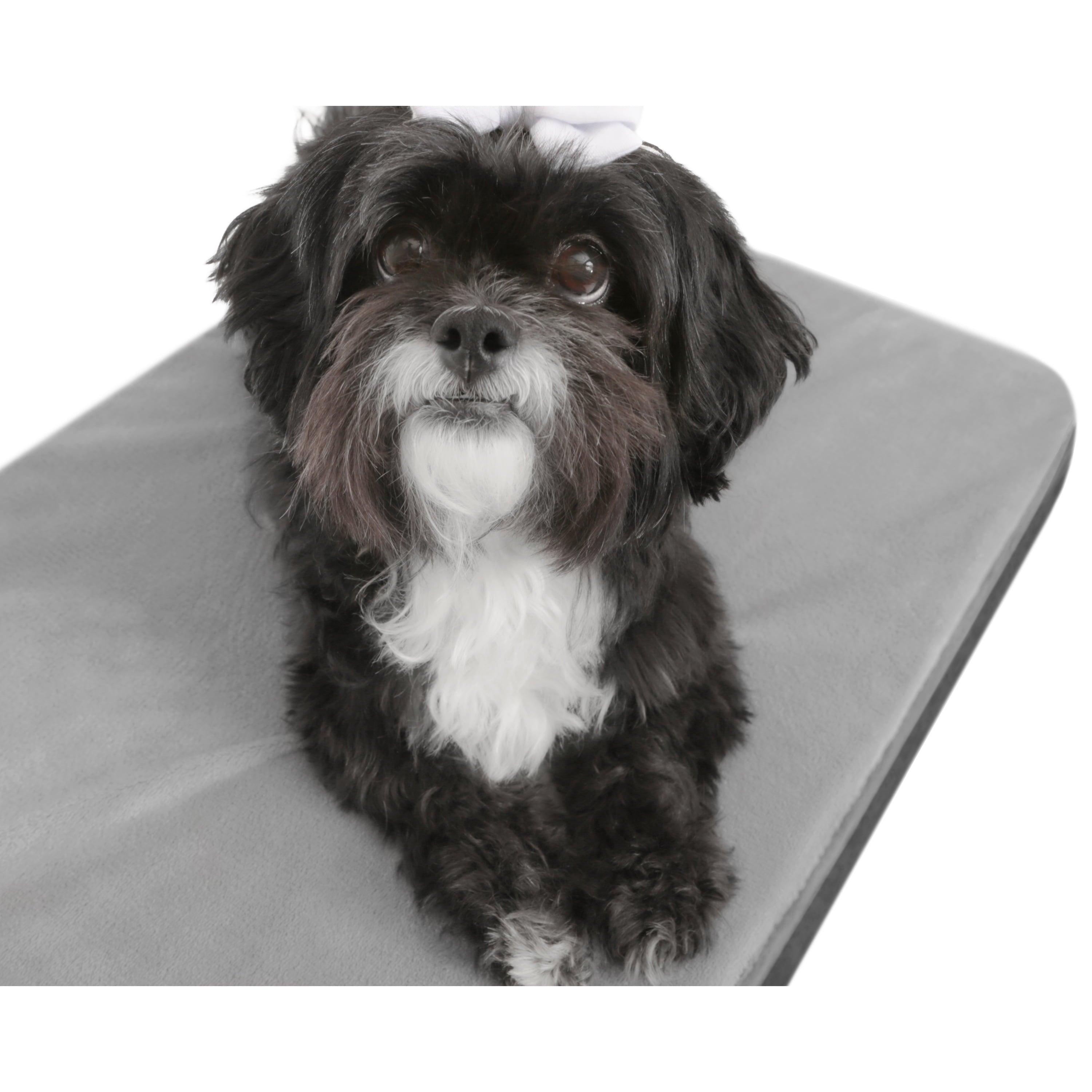 TailZzz Dream Pet Mattress | Large to Extra Large Dog Mattress | Anti-Slip Pet Mattress Bed