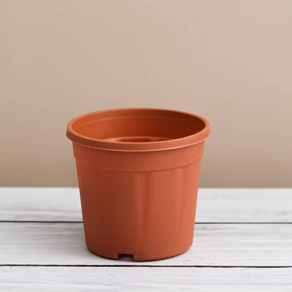 10 inch (25 cm) Grower Round Plastic Pot (Terracotta Color) (set of 6)