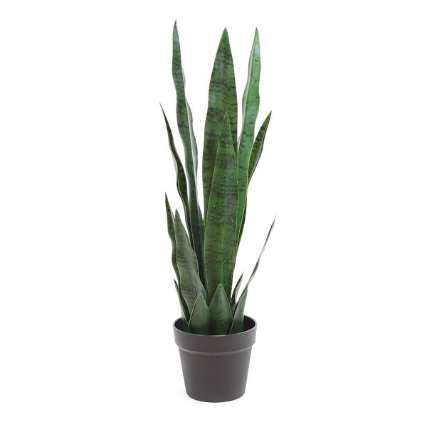 The Mod Greenhouse Faux Green Sansevieria Plant in a Black Matte Planter Pot