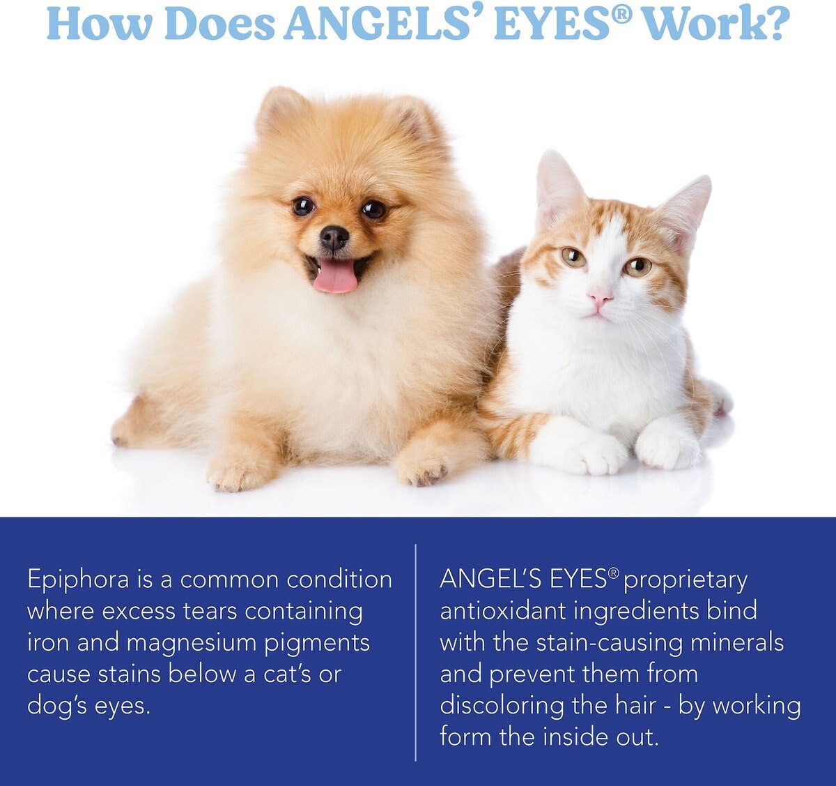 Angels' Eyes Natural Chicken Flavored Soft Chew Tear Stain Supplement for Dogs and Cats