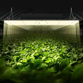 VEVOR 300 Watt LED Plant Grow Light Full Spectrum Dimmable Growing Lamp  281B+PRO Chip 30006500K Color Changing Light LZB320W23110VJT6LV1