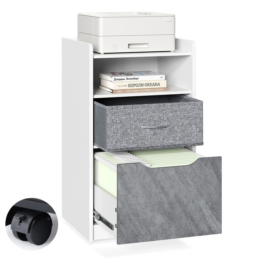 Vertical Mobile File Cabinet with 2 Drawers  Home Office Printer Cart