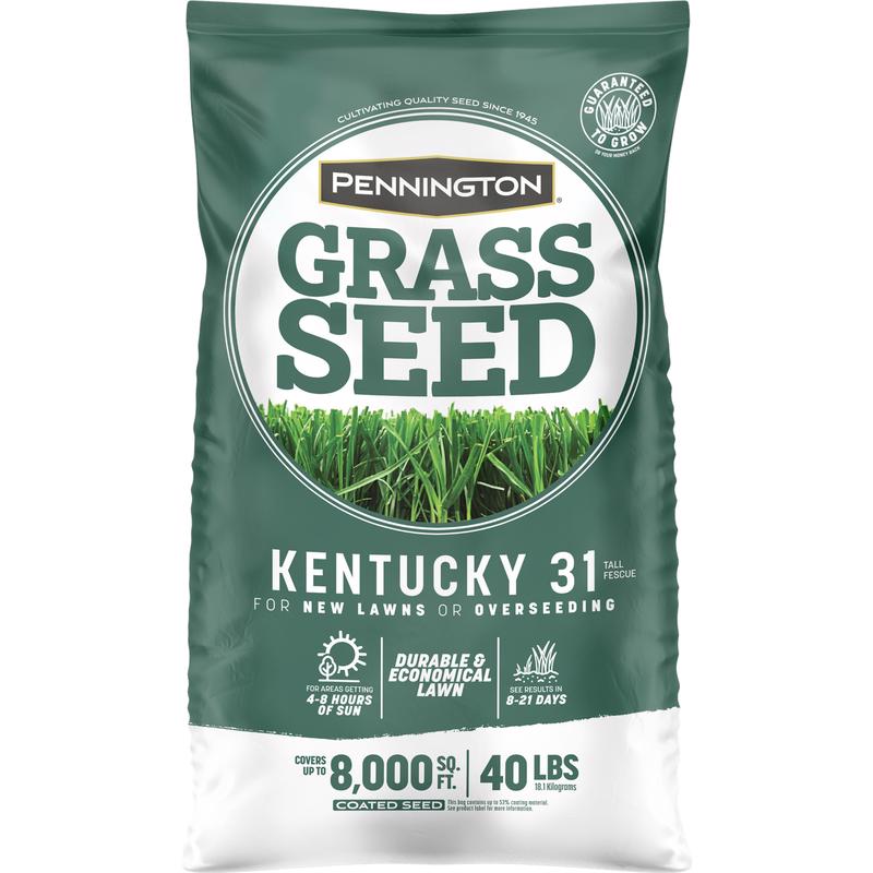 GRASS SEED KY31 TF 40#