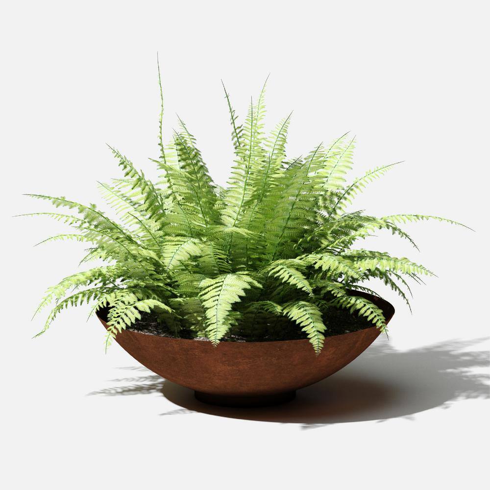 Veradek Rust Bowl 22 in. Corten Steel Metal Round Planter RBV22RS