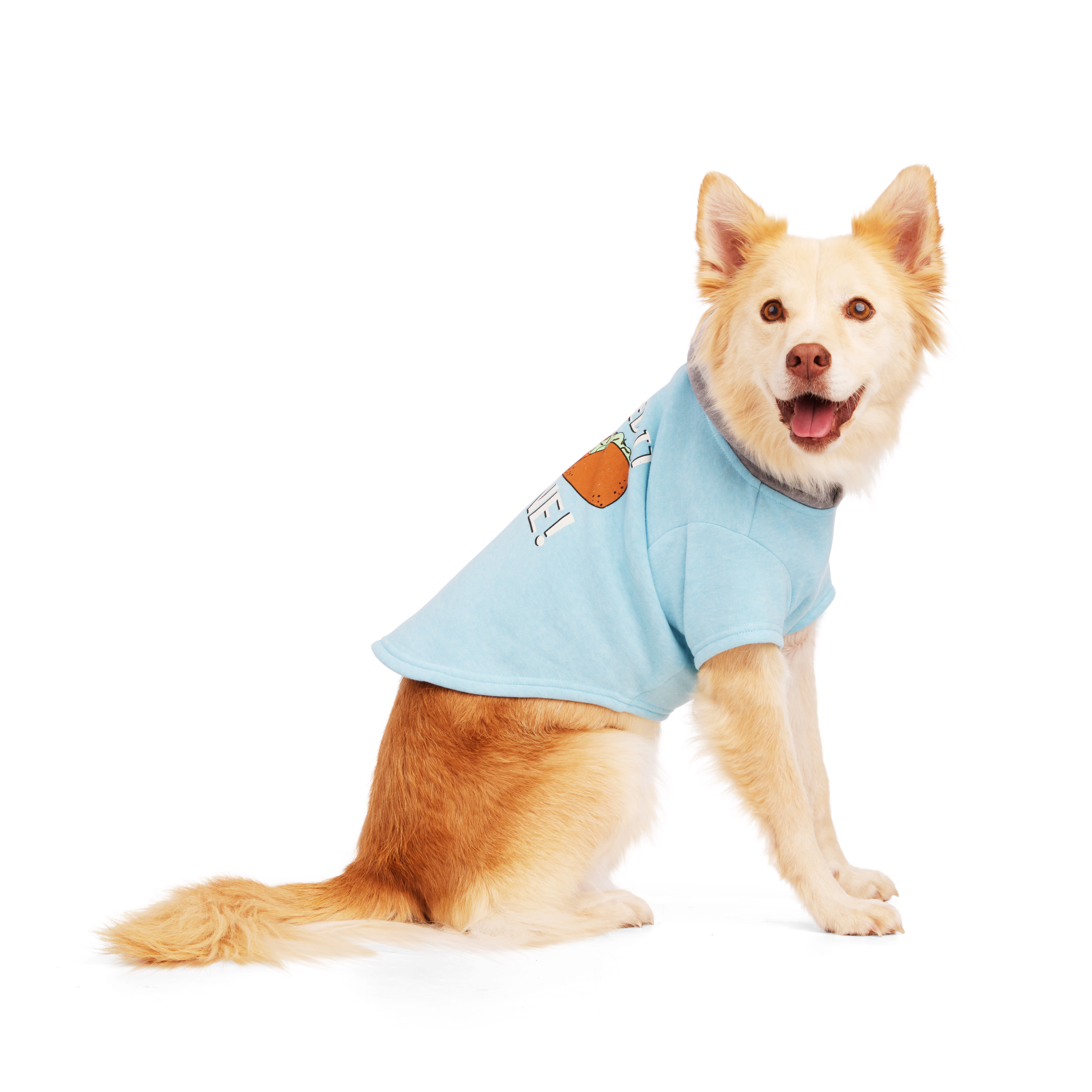 YOULY Baby Blue Pajamas for Dogs， XX-Small