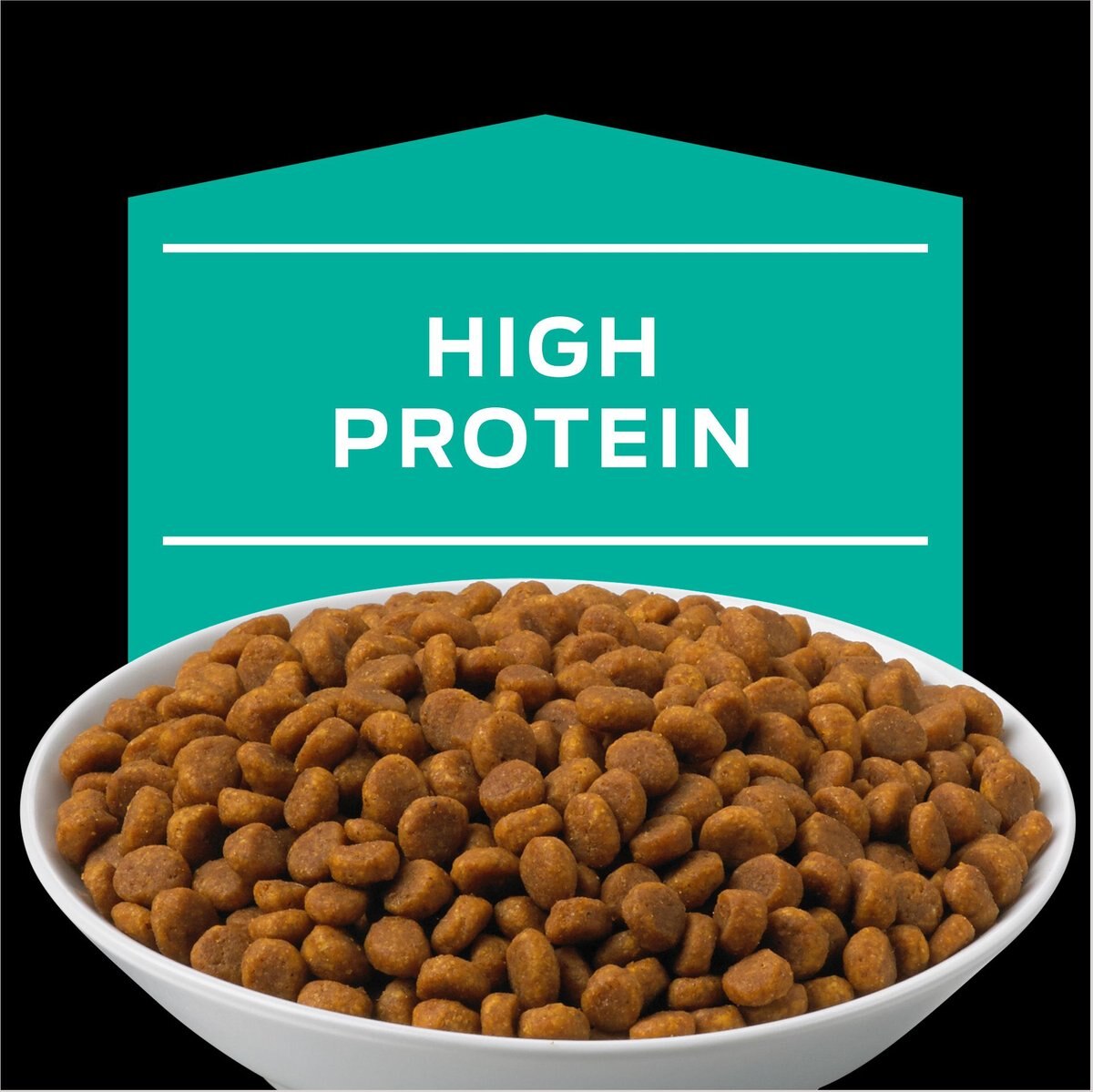 Purina Pro Plan Veterinary Diets EN Gastroenteric Dry Cat Food