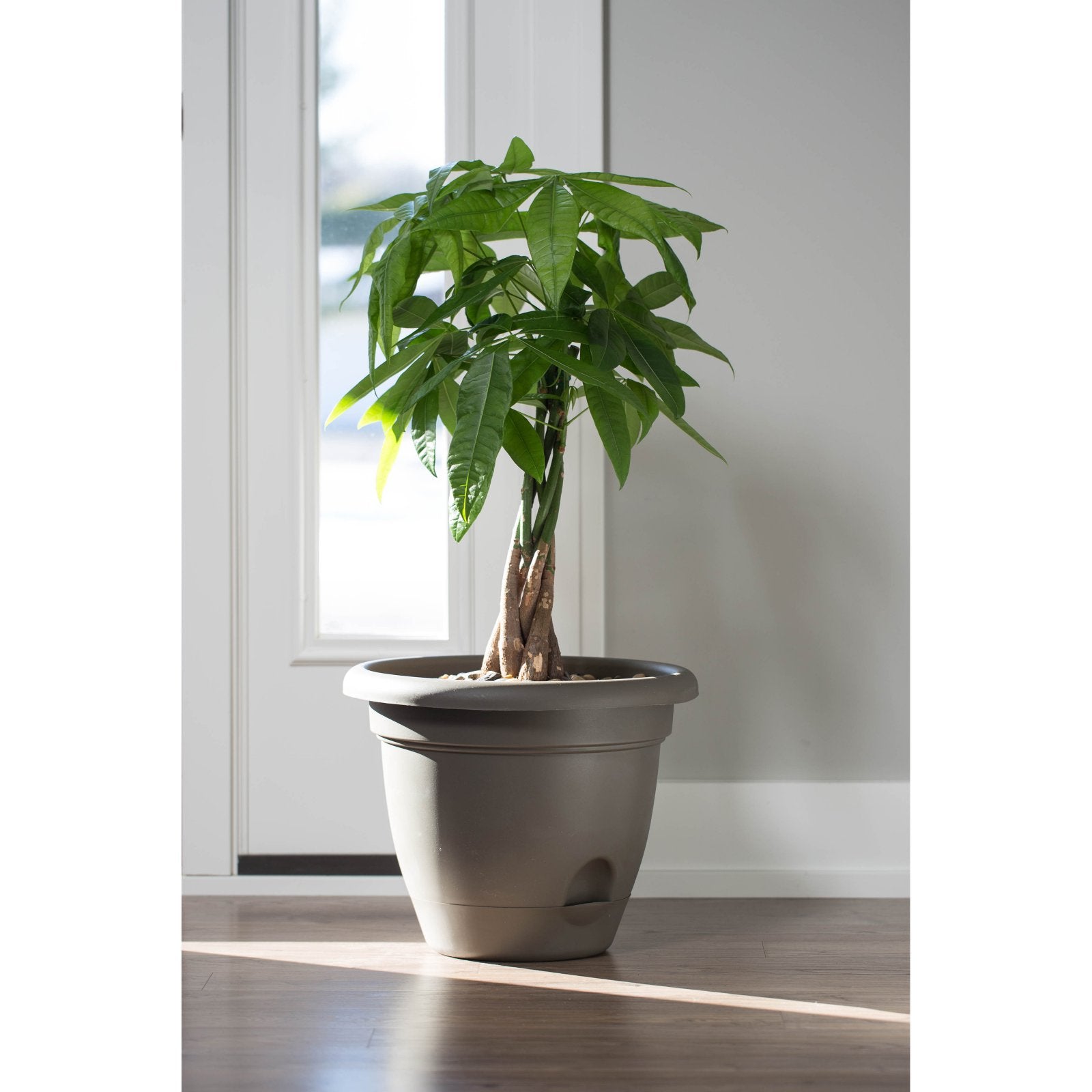 Bloem Lucca Self-Watering Plastic Pot Planter