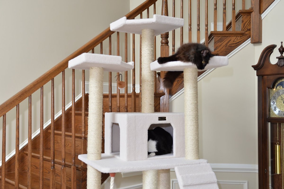 Armarkat 82-in Classic Cat Tree， Ivory