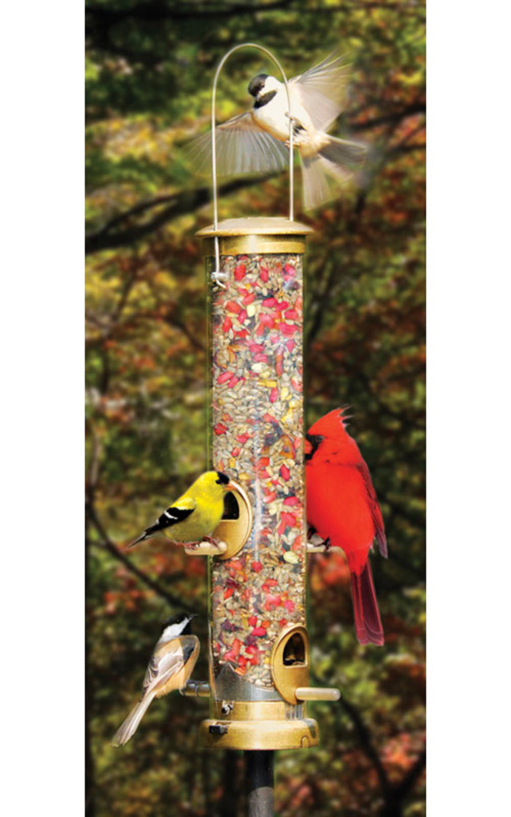 Cole's Terrific Tube Wild Bird 1.25 Polycarbonate Bird Feeder 4 ports