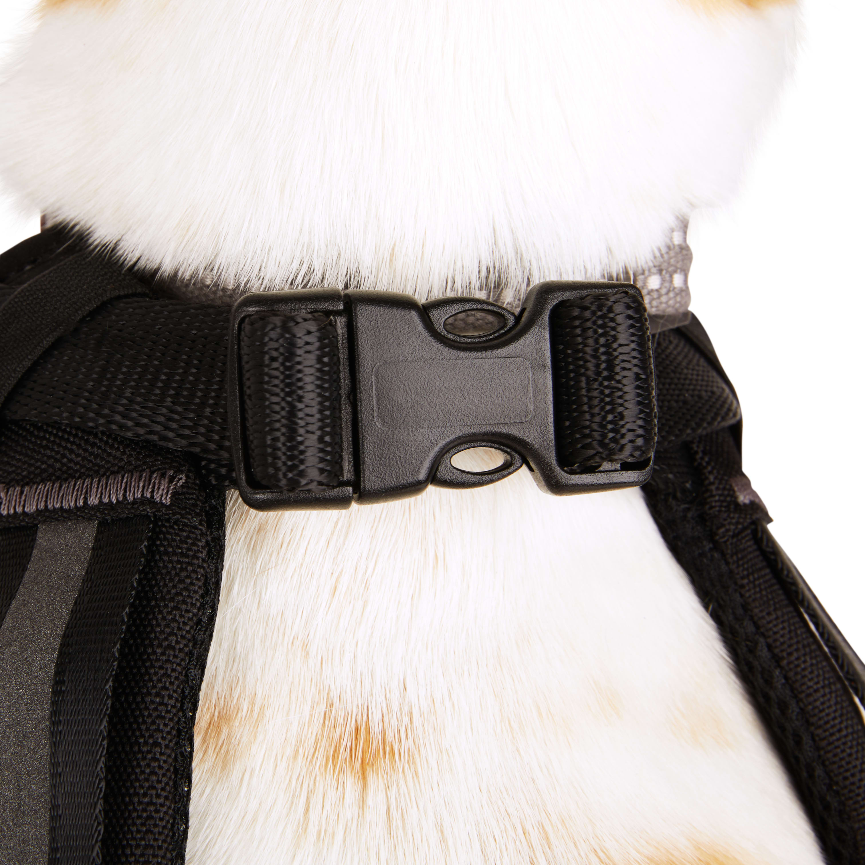 Reddy Crash Tested Dog Harness， Small