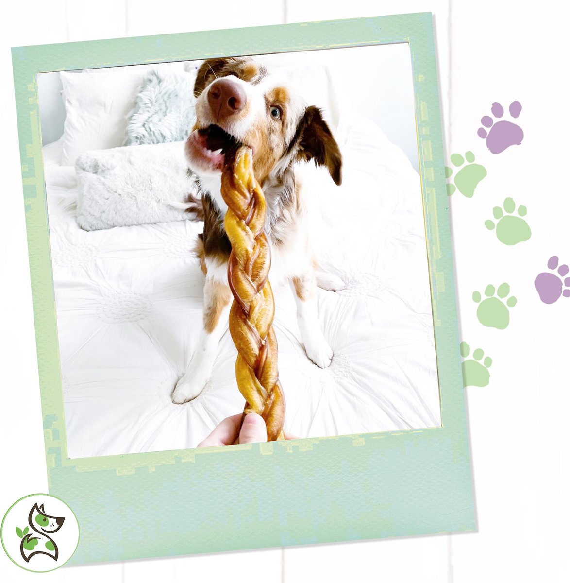 Nature Gnaws Braided Bully Sticks 11 - 12\