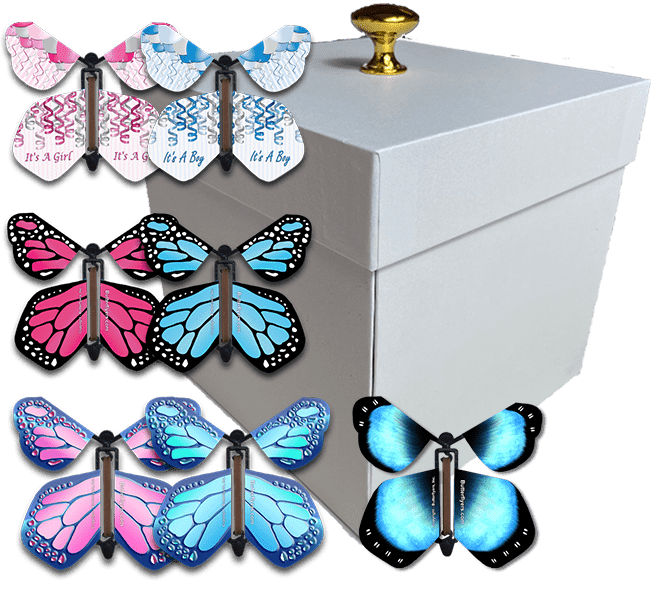 White Exploding Butterfly Box With Gender Reveal Flying Butterflies