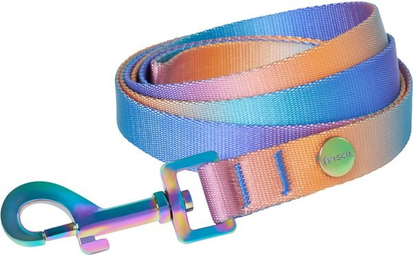 Frisco Purple Ombre Style Dog Leash