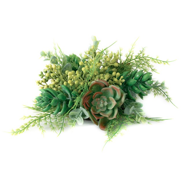 Sullivans Succulent 1/2 Orb Decorative Filler 4.5