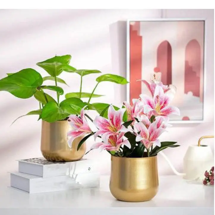 New Arrival Outdoor Garden Usage Customized Size Metal Planter Medium Size Copper Finishing Metal Planter