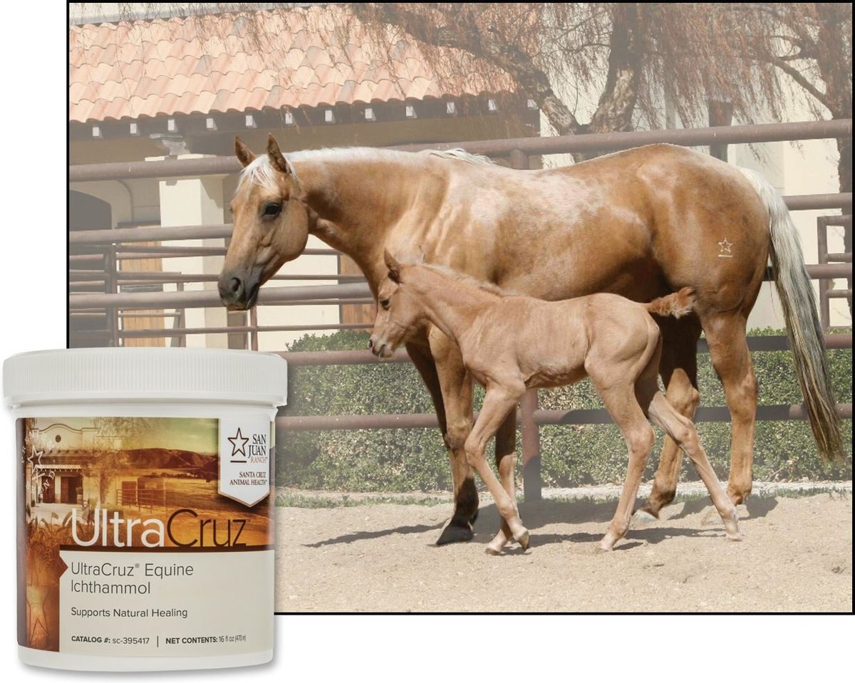 UltraCruz Ichthammol Skin Care Horse Ointment