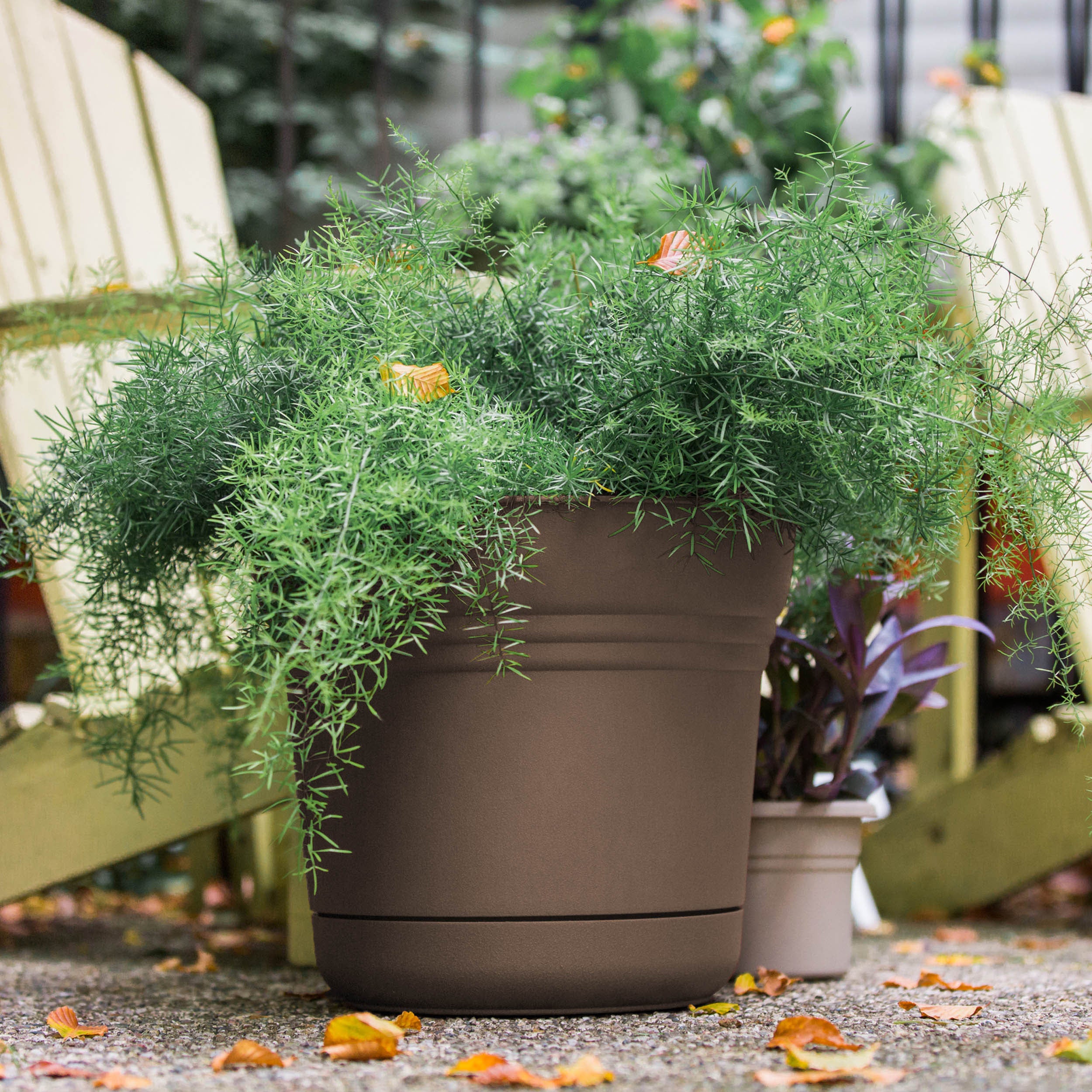 Bloem Saturn Planter W/ Saucer 5 x 4.5 Plastic Round Chocolate Brown