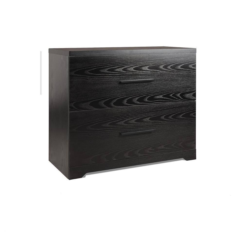 Modern Black 2-Drawer Wood Lateral File Cabinet with Anti-tilt Mechanism DE107056868