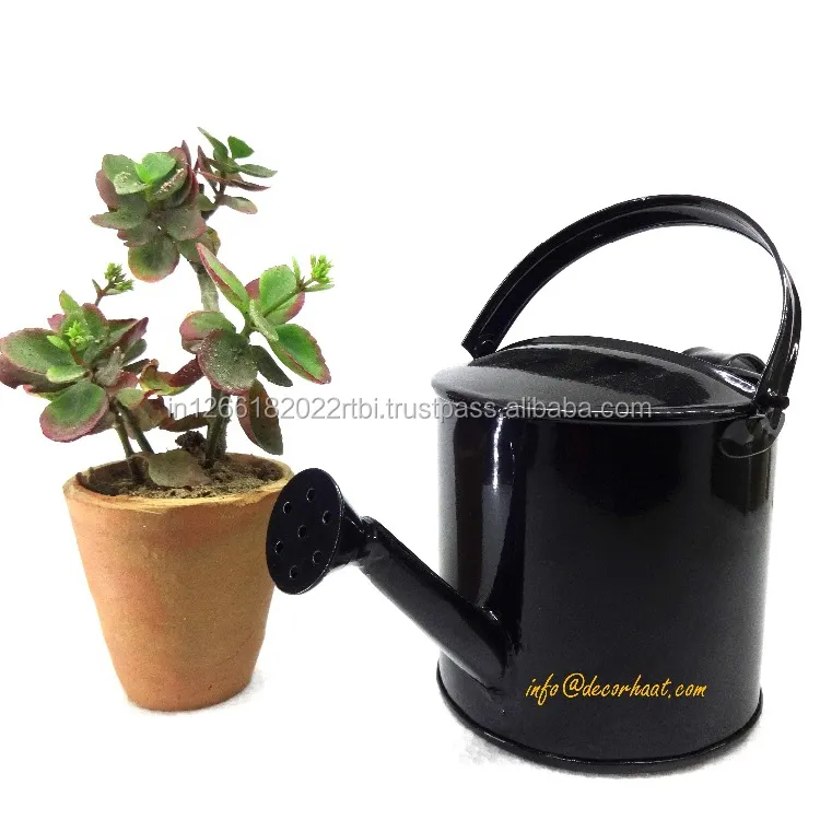 Premium Quality Hot Selling Galvanized Decorative Mini Watering Can with Best Price watering can