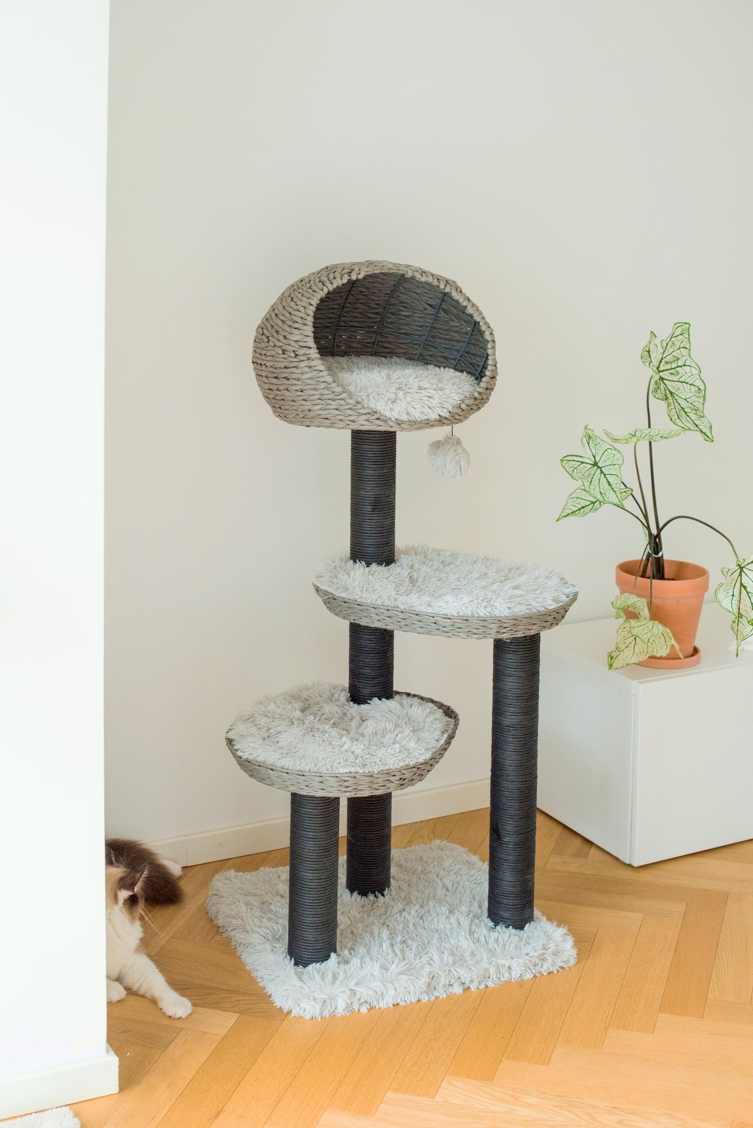 PetPals 50" Gray 4-Level Cat Tree Scratching Post Plush Perch and Basket with Shag Fur for Large Cat Climbing Cat Furniture Modern Play House Big Adult Cats w/ FREE cat teaser for Easter