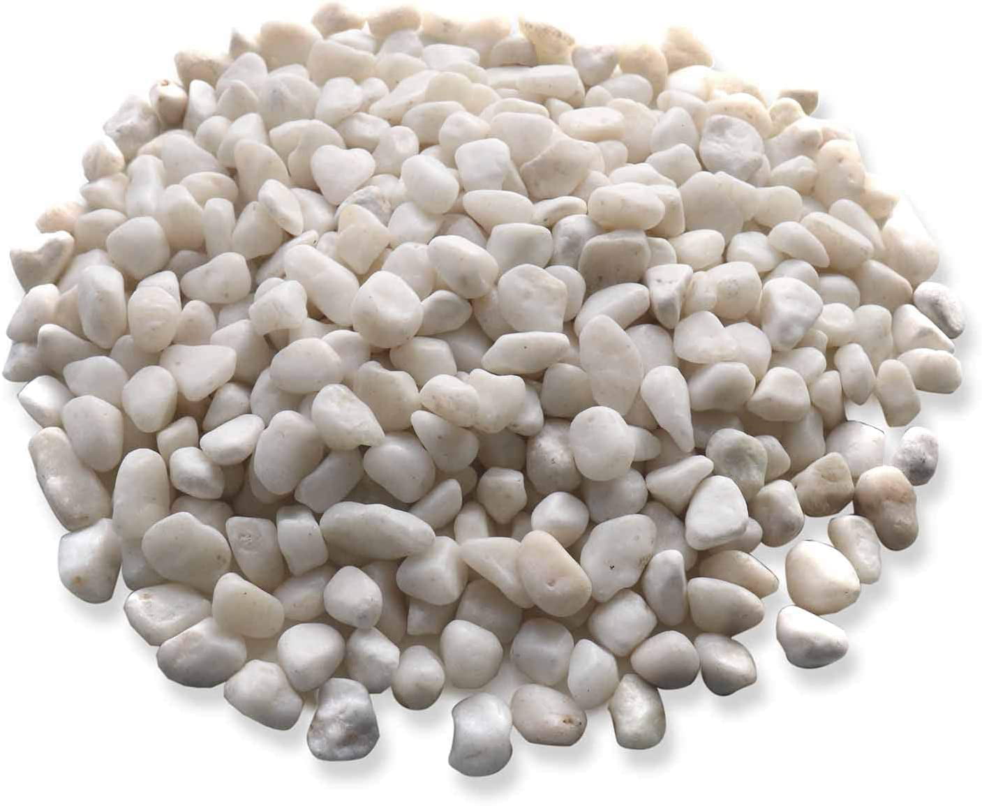 Koltose by Mash - Polished White Bean Pebbles, 0.5 Inch Natural Decorative Stones, 10 lbs