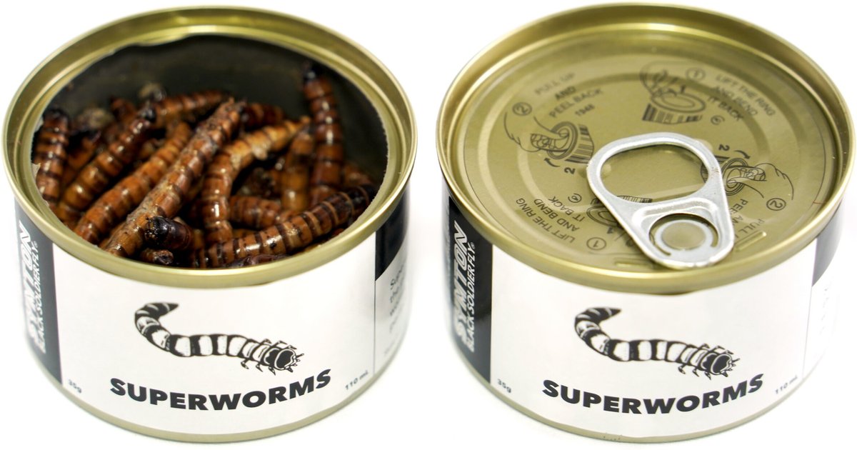 Symton Superworms Canned Reptile Treats， 35-g， count of 3