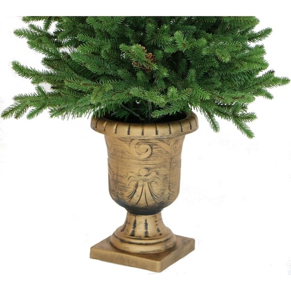 Fraser Hill Farm 3.0' Noble Fir Potted Tree