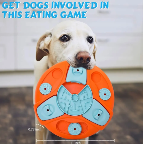 IQ Training and Cognitive Development: Brain-Boosting Dog Food Puzzle Toys