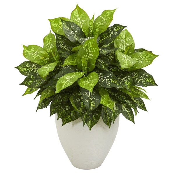 Dieffenbachia Artificial Plant in White Planter